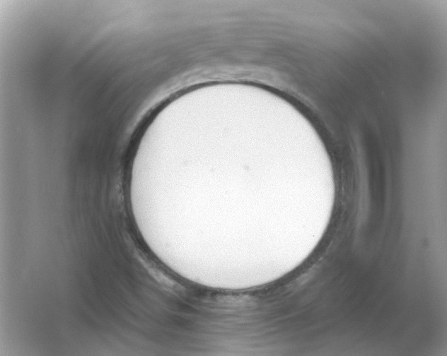 X0000065971498200603241859