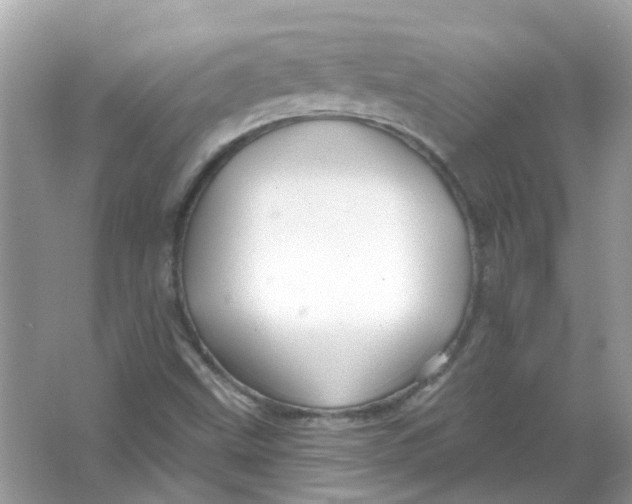 X0000065971499200603241859