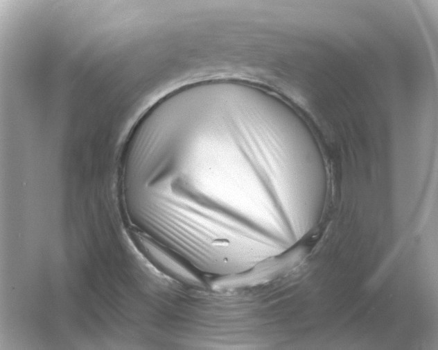 X0000065971500200603241859