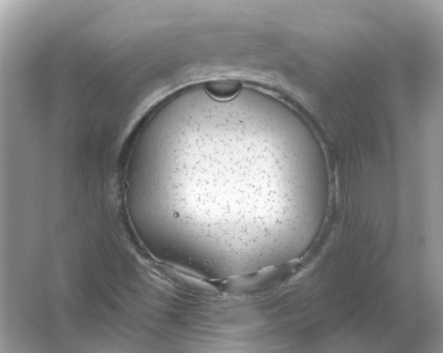 X0000065971501200603241859