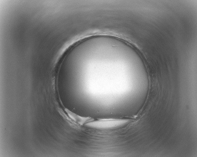 X0000065971503200603241859