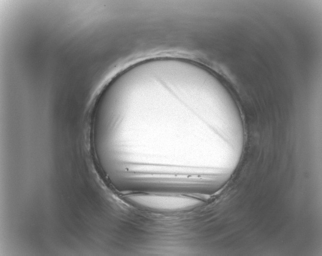 X0000065971504200603241859