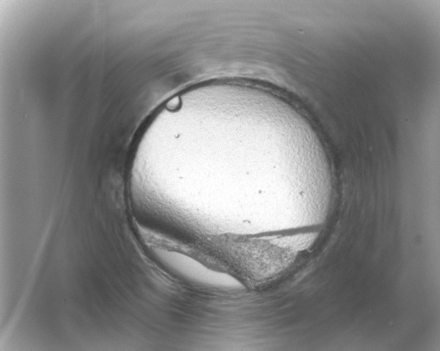 X0000065971505200603241859