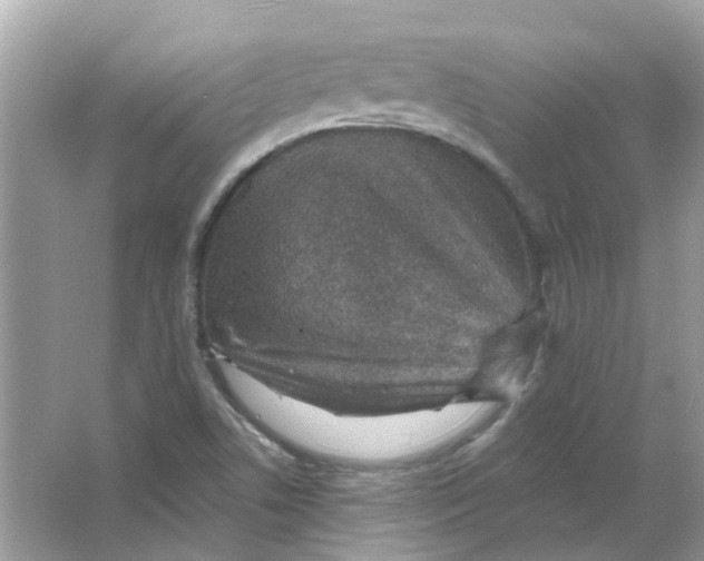 X0000065971506200603241859