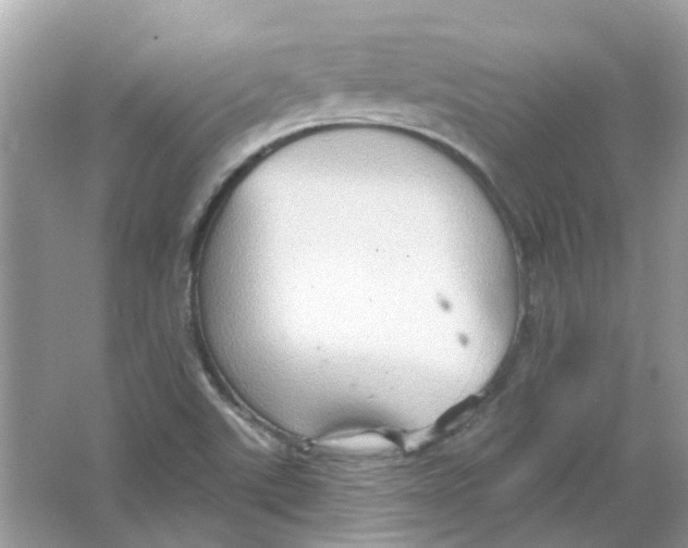 X0000065971507200603241859