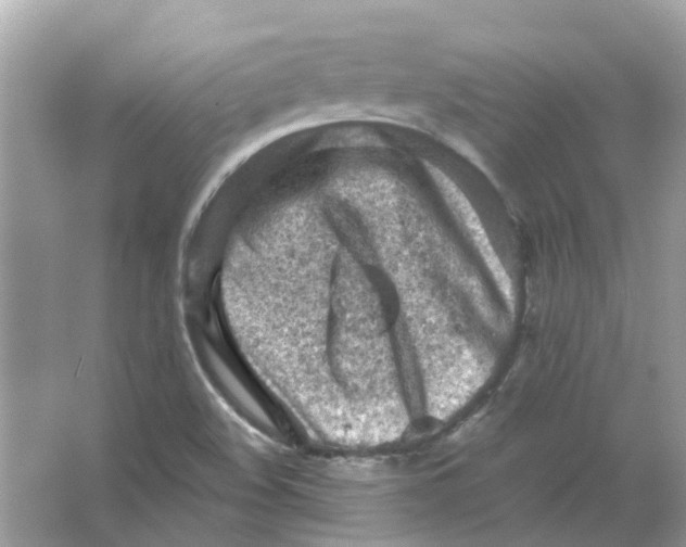 X0000065971508200603241859