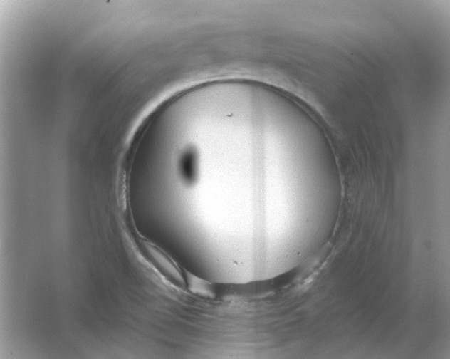 X0000065971510200603241859