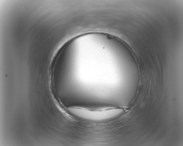 X0000065971511200603241859