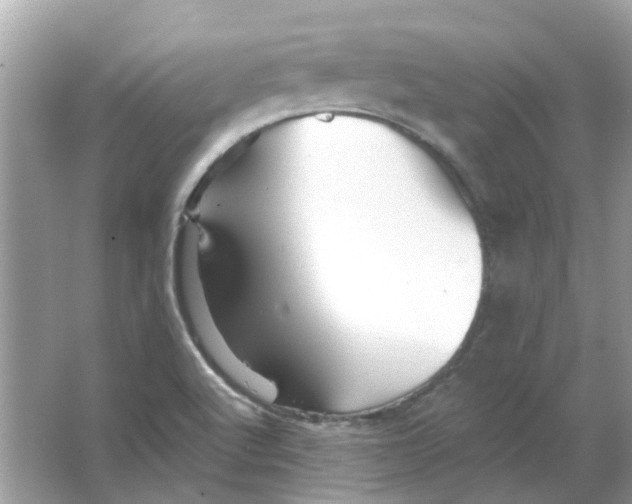 X0000065971512200603241859