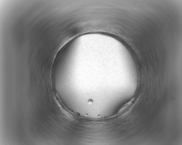 X0000065971513200603241859