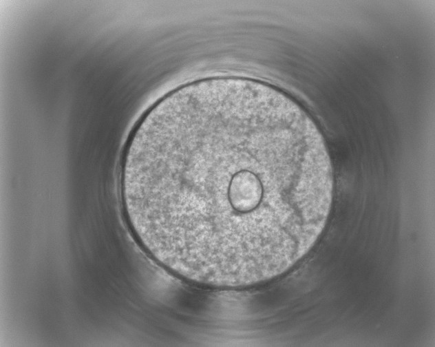 X0000065971514200603241859