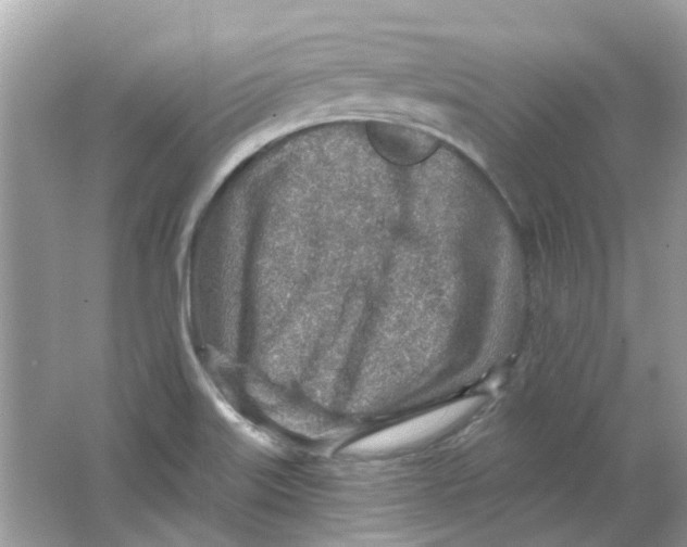 X0000065971515200603241900