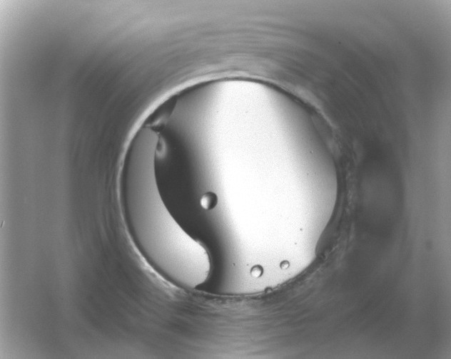 X0000065971516200603241900