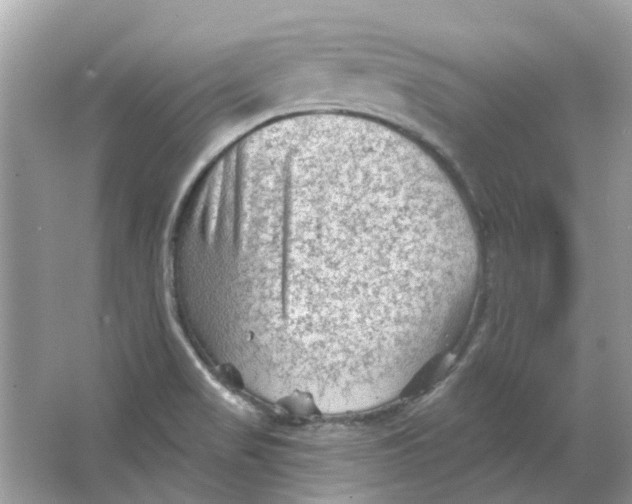 X0000065971517200603241900