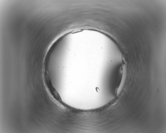 X0000065971518200603241900