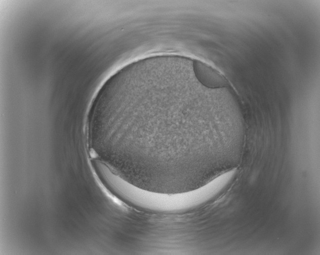 X0000065971519200603241900