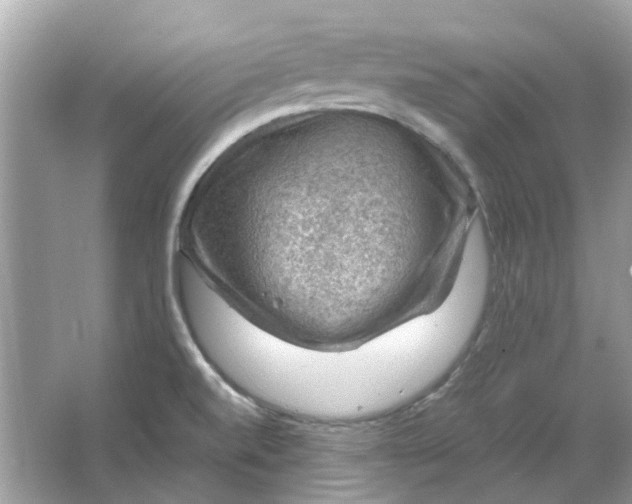 X0000065971520200603241900