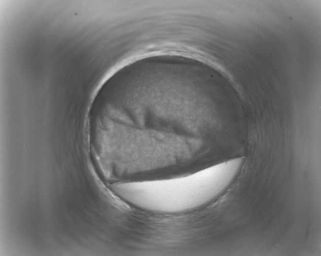 X0000065971522200603241900