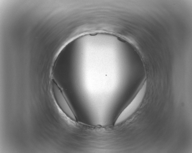 X0000065971524200603241900