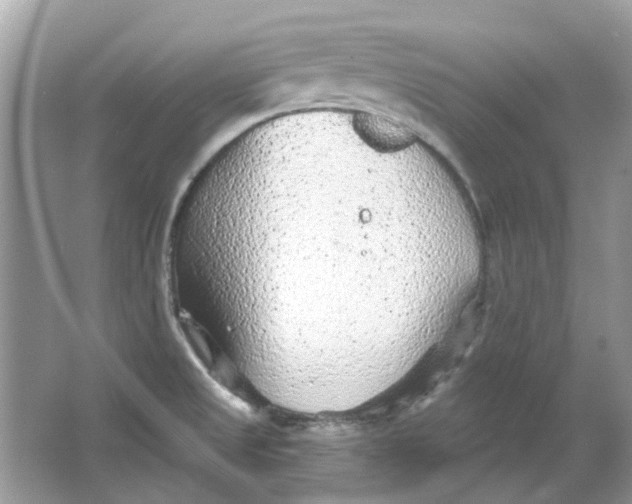 X0000065971525200603241900