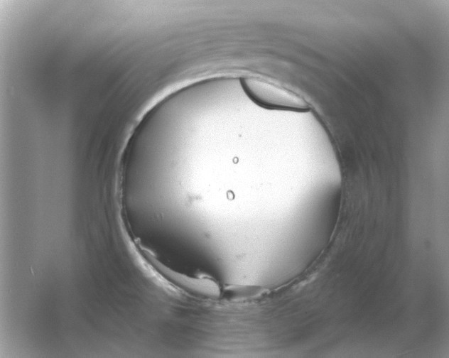 X0000065971526200603241900