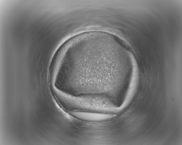 X0000065971527200603241900