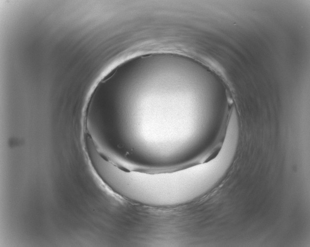 X0000065971528200603241900