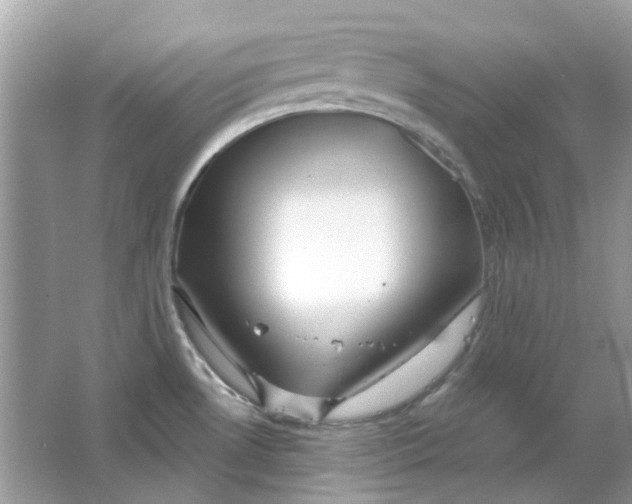 X0000065971530200603241900