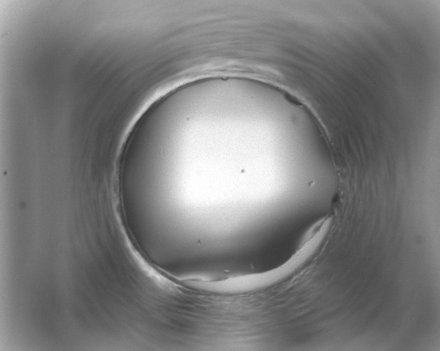 X0000065971531200603241900