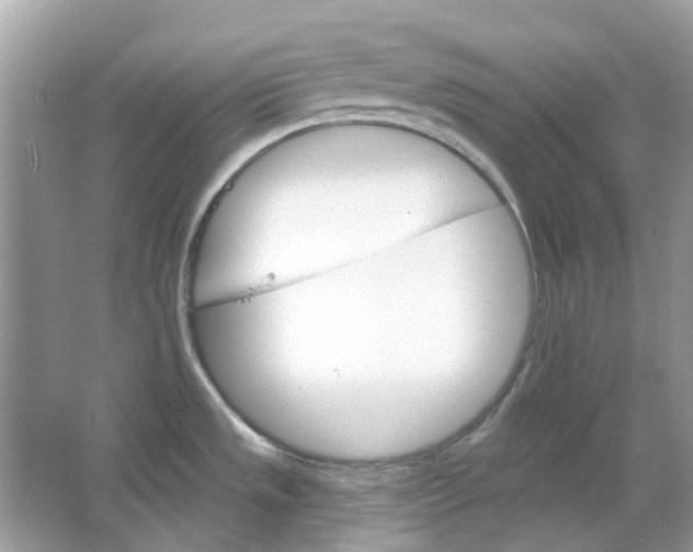 X0000065971533200603241900