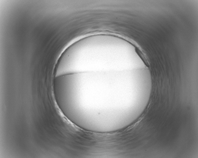 X0000065971534200603241900