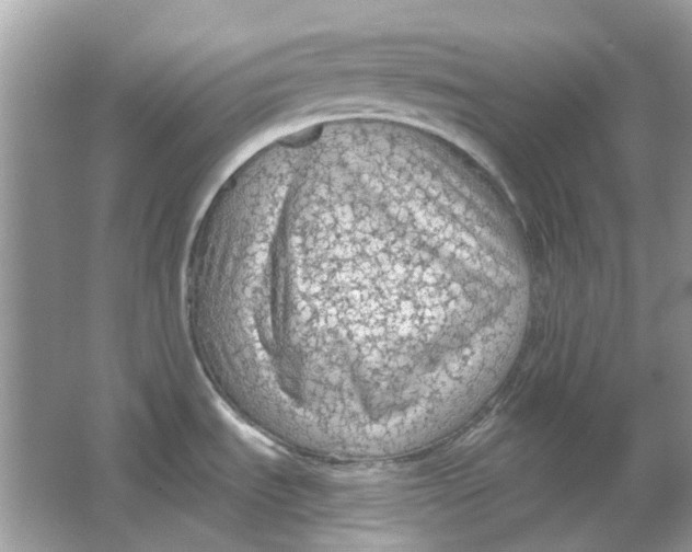 X0000065971535200603241900