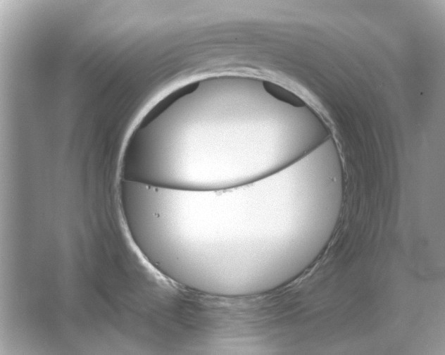 X0000065971536200603241900