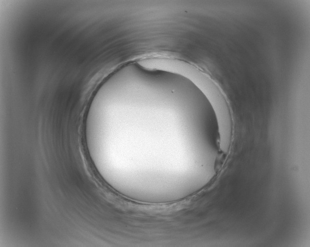 X0000065970001200603311851