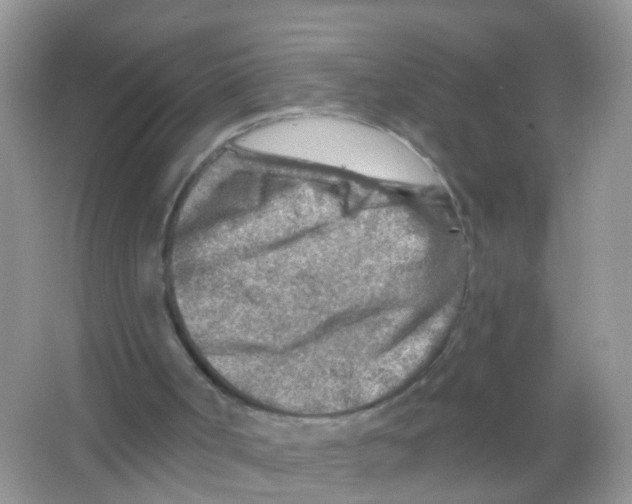 X0000065970002200603311851