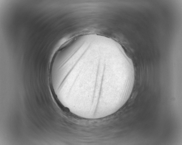 X0000065970003200603311851