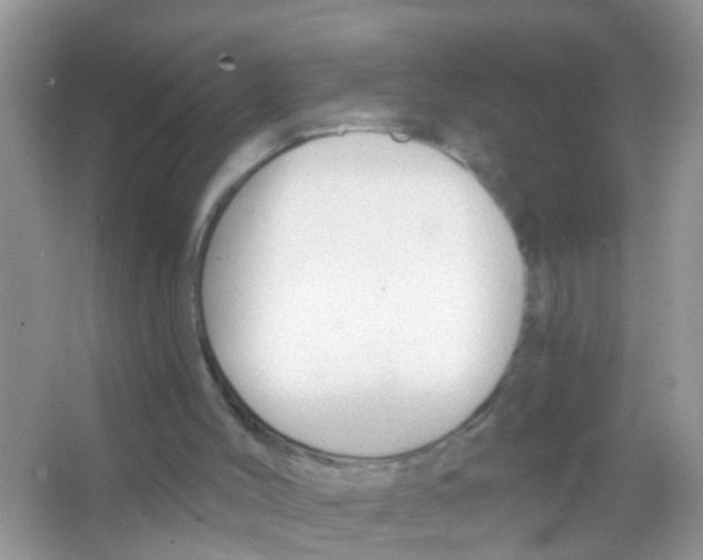 X0000065970004200603311851