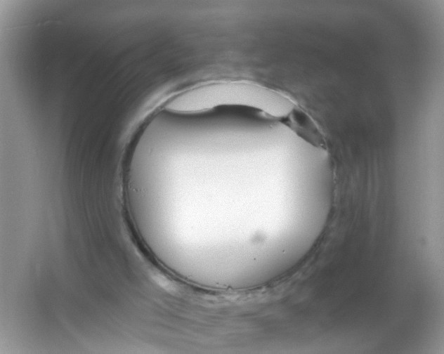 X0000065970005200603311851