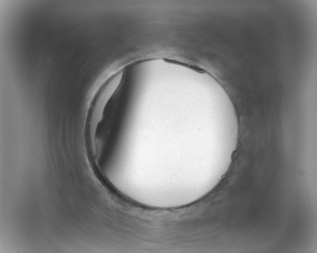 X0000065970007200603311851