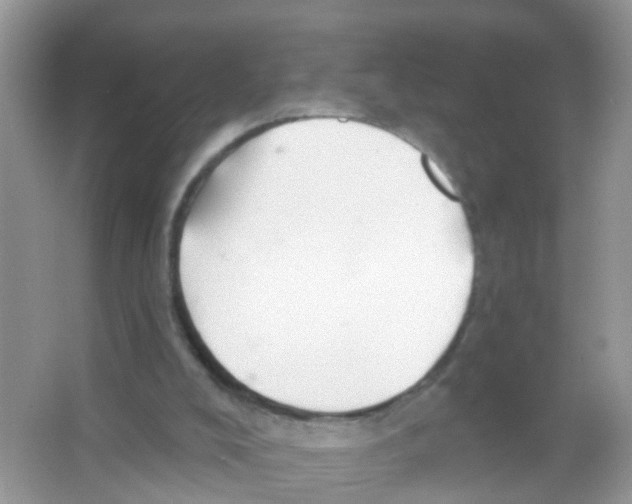 X0000065970008200603311851