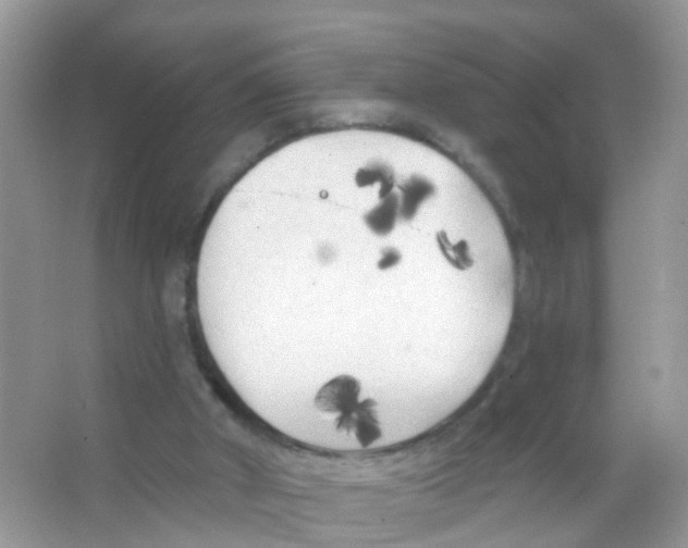 X0000065970010200603311850