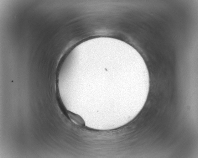 X0000065970011200603311850