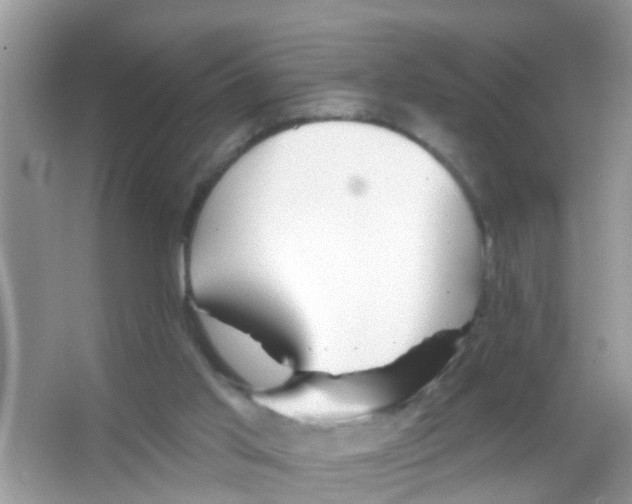 X0000065970013200603311850