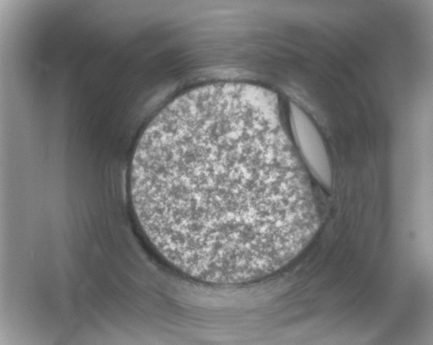 X0000065970014200603311850