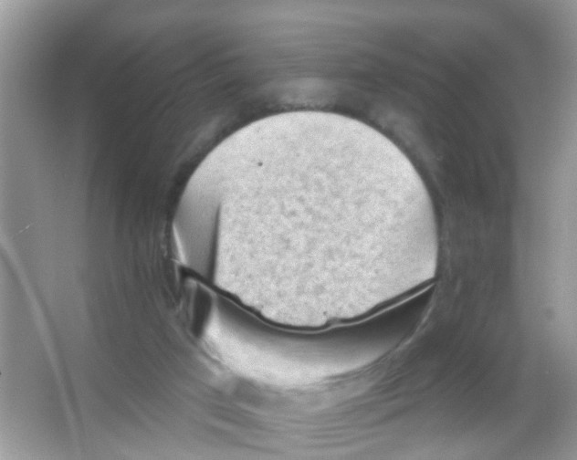 X0000065970017200603311850