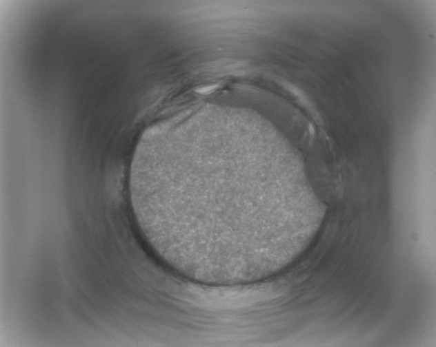 X0000065970018200603311850