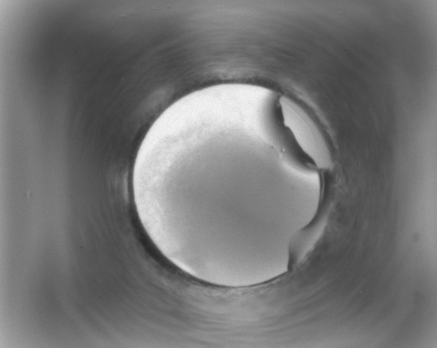 X0000065970019200603311850