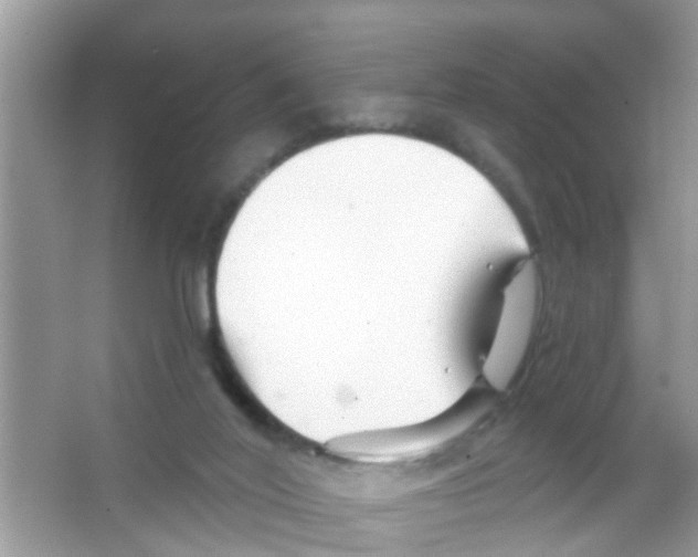 X0000065970020200603311850