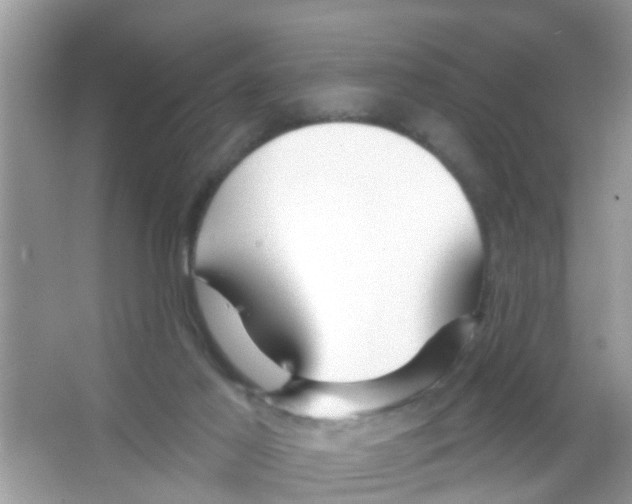 X0000065970021200603311850