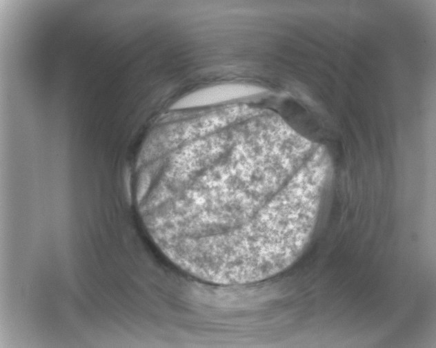 X0000065970022200603311850